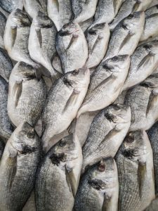 Omega 3 ( Fish Oil) and Weight Loss?