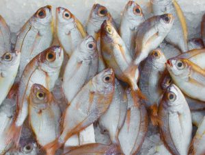 Omega 3 ( Fish Oil) and Weight Loss?