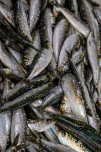 Omega 3 ( Fish Oil) and Weight Loss?